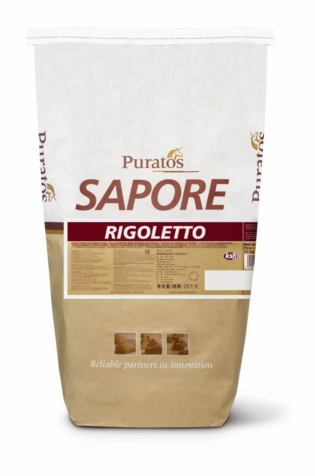 絶版　希少Lutherie in Bologna Roots & Success Maia Sapore Rigoletto - Puratos